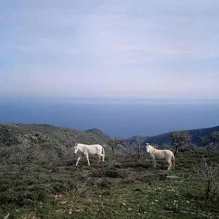 Kea Architect's Beyond Horizon * Agia Mavra