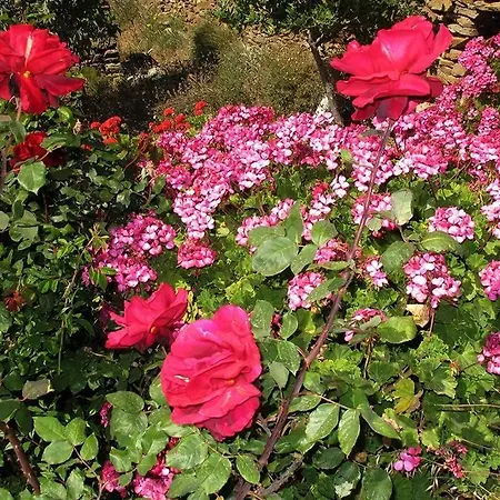 Kea Architect's Beyond Horizon Willa *